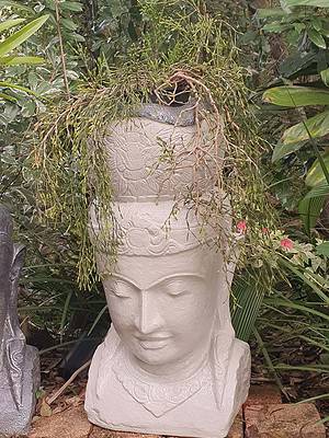 Lady Tara Planter 80cm CPS140a . Handcrafted in Bali. Perfect for  that beautiful plant you have been looking forward to displaying in your garden.